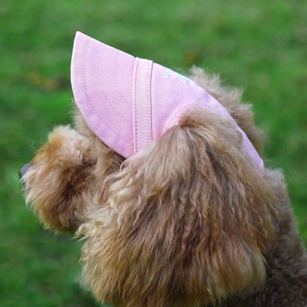 Pet Baseball Hat