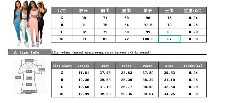 Women Activewear Summer Fitness Gym Yoga Sets Two Piece Set Bra Crop Top And High Waist Leggings Sportswear Training Workout Set from NAPSA - 