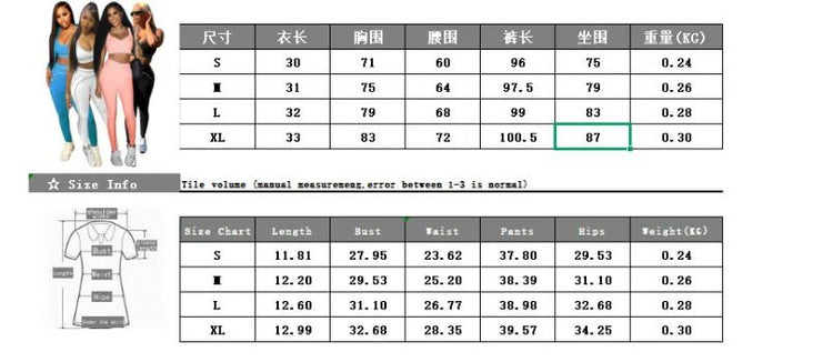 Women Activewear Summer Fitness Gym Yoga Sets Two Piece Set Bra Crop Top And High Waist Leggings Sportswear Training Workout Set from NAPSA - 